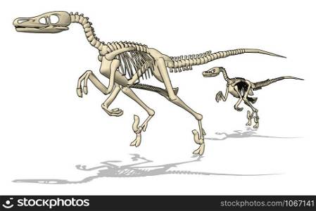 Dino skelet, illustration, vector on white background.