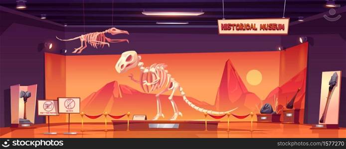 Dinosaur skeleton in museum of history. Dino tyrannosaurus rex and pterodactyl fossils and ancient artifacts at paleontological exhibition. Paleontology archeology science Cartoon vector illustration. Dinosaur skeleton in museum of history, exhibition