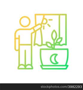 Direct sunlight gradient linear vector icon. Indoor houseplant care. Daylight for plants. Indoor plants correct light. Thin line color symbol. Modern style pictogram. Vector isolated outline drawing. Direct sunlight gradient linear vector icon
