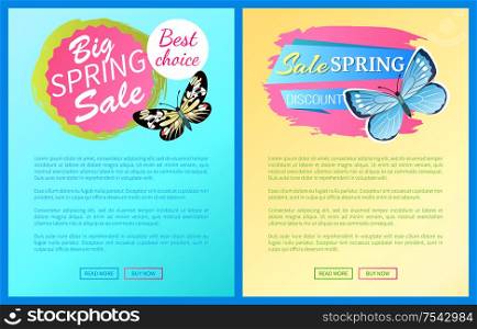 Discounts choice big spring sale labels on posters butterflies, day-flying moth with wings vector voucher advertisement sticker and tag, add your text. Discount Choice Spring Sale Label Poster Butterfly