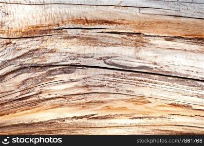 Distress Dry Wood texture for your design.