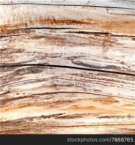 Distress Dry Wood texture for your design. EPS10 vector.