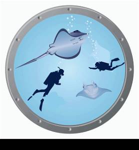 Divers and stingrays