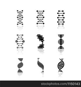 DNA double helix drop shadow black glyph icons set. Deoxyribonucleic, nucleic acid. Spiraling strands. Chromosome. Molecular biology. Genetic code. Genome. Genetics. Isolated vector illustrations