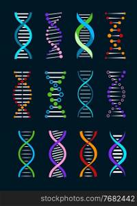 DNA helix isolated vector icons of genetics and biotechnology science. Spiral strands of gene legacy, double helix of human DNA molecule with colorful chromosomes and atoms. DNA helix isolated icons, genetics, biotechnology