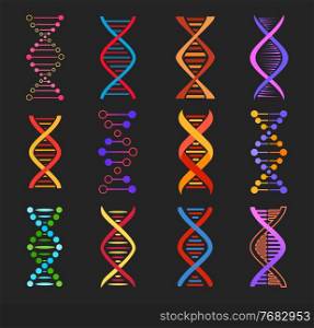 DNA helix vector icons of genetics medicine and biotechnology. Isolated molecules of DNA double strand, colorful chains of human chromosome, gene legacy and genome evolution design. DNA helix vector icons of genetics medicine