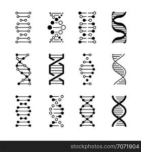DNA icons. Genetic structure code, DNA molecule models isolated on white background. Genetic instructions vector symbols. DNA icons. Genetic structure code, DNA molecule models isolated on white background. Genetic vector symbols