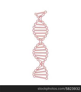 DNA Molecules Isolated on White Background - vector DNA Molecules Isolated on White Background - vector