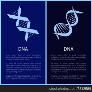 DNA set of white spirals isolated on blue backdrops, different forms DNA chains with genetic information, framed vector illustrations, text sample. DNA Set of White Spirals Isolated on Blue Backdrop