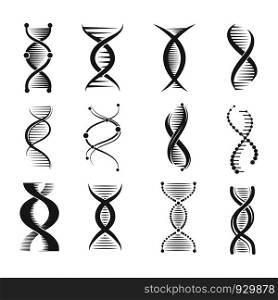 Dna spiral icons. Helix human technology research molecule and chromosome medical and pharmaceutical vector symbols. Dna and chemistry, medical science biochemistry helix illustration. Dna spiral icons. Helix human technology research molecule and chromosome medical and pharmaceutical vector symbols