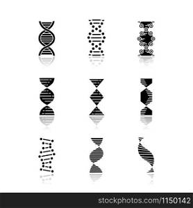 DNA spirals drop shadow black glyph icons set. Deoxyribonucleic, nucleic acid helix. Spiraling strands. Chromosome. Molecular biology. Genetic code. Genome. Genetics. Isolated vector illustrations