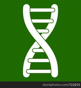 DNA strand icon white isolated on green background. Vector illustration. DNA strand icon green