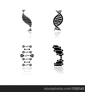 DNA strands drop shadow black glyph icons set. Deoxyribonucleic, nucleic acid helix. Spiraling strands. Chromosome. Molecular biology. Genetic code. Genome. Genetics. Isolated vector illustrations