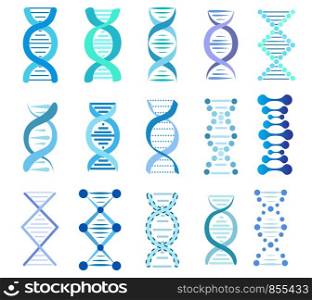 DNA Strands Set, stock vector illustration