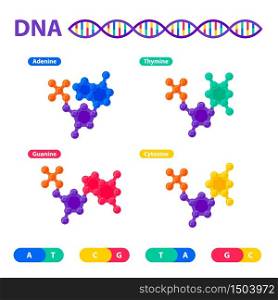 DNA structure, genome sequencing concept. Nanotechnology and biochemistry laboratory. Molecule helix of dna, genome or gene structure. Human genome project. Flat style vector illustration.. DNA structure, genome sequencing concept. Nanotechnology and biochemistry laboratory. Molecule helix of dna, genome or gene structure. Human genome project. Flat style vector illustration
