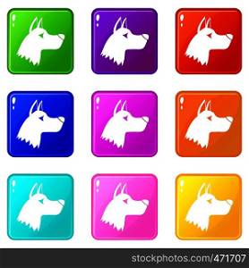 Doberman dog icons of 9 color set isolated vector illustration. Doberman dog icons 9 set