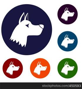 Doberman dog icons set in flat circle reb, blue and green color for web. Doberman dog icons set