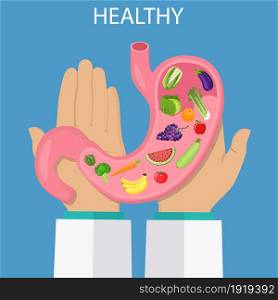 Doctor Hands holds Human Internal Stomach. Vector illustration in flat style. Human Internal Stomach Anatomy