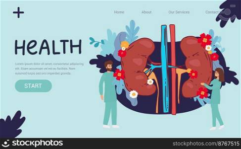 Doctors studying kidneys of donor at clinic. Medical persons checking human organ for surgery flat vector illustration. Nephrology, medicine concept for banner, website design or landing web page. Doctors studying kidneys of donor at clinic. Medical persons checking human organ for surgery flat vector illustration. Nephrology, medicine concept for banner, website design or landing web page,