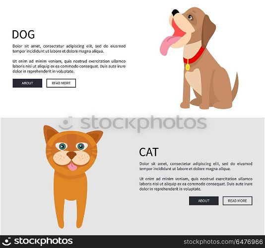 Dog and Cat Conceptual Banner Vector Illustration. Dog and cat conceptual banner vector illustration on white and grey backgrounds. Two buttons ead and learn more at end of description.