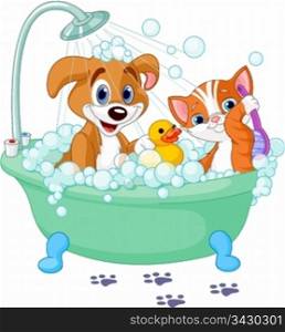 Dog and Cat having a bath