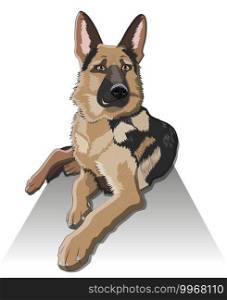 Dog breed german shepherd proudly lies on the doorstep of the house, realistic picture. dog German shepherd breed sitting and smile