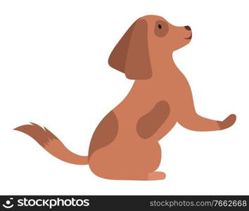 Dog breed spotted in brown color sitting with rising paw and tail. Adorable domestic cartoon character doggy looking. Happy and friendly pedigree terrier standing isolated on white element vector. Pedigree Dog Sitting Animal Doggy Looking Vector