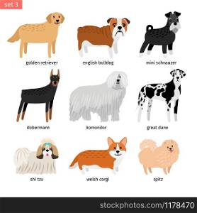 Dog breeds. Vectors dogs breeding collection isolated on white background, great dane and komondor, golden retriever and mini schnauzer isolated on white. Dog breeds. Vectors dogs breeding collection isolated on white background, great dane and komondor