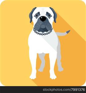 dog Bullmastiff icon flat design . Vector serious dog Bullmastiff standing icon flat design