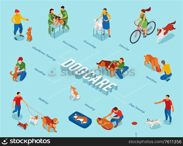 Dog care center isometric flowchart with puppy obedience training pets outdoor walking exercise grooming feeding vector illustration