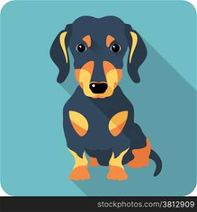 dog dachshund sitting icon flat design