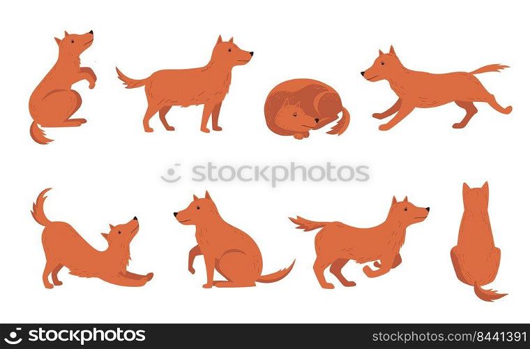 Dog different activities set. Cartoon character movement, sleeping, playing, standing, running red pet. Vector illustration for pet, dog training, breeding concept