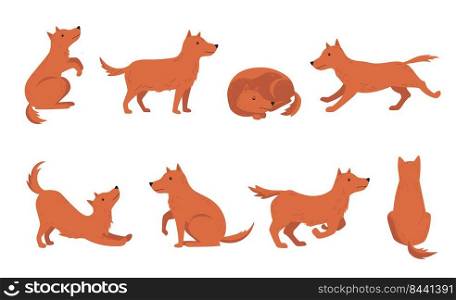 Dog different activities set. Cartoon character movement, sleeping, playing, standing, running red pet. Vector illustration for pet, dog training, breeding concept