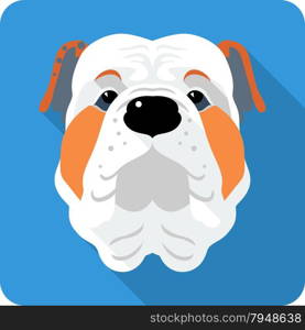 dog English Bulldog icon flat design . Vector serious dog English Bulldog icon flat design