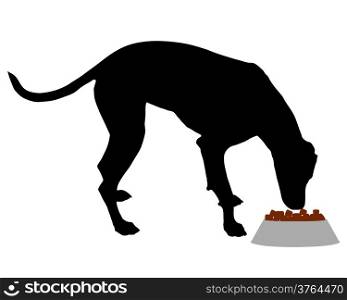 Dog feeding
