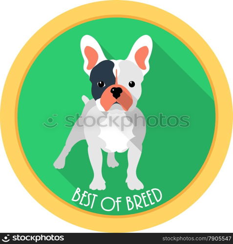 dog French bulldog best of breed medal icon flat design . dog best of breed medal icon flat design