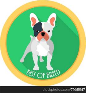 dog French bulldog best of breed medal icon flat design . dog best of breed medal icon flat design