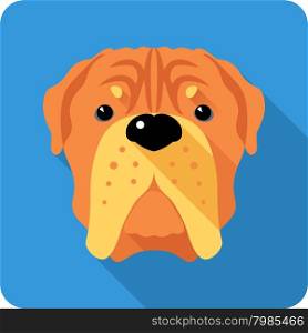 dog French Mastiff icon flat design . Vector serious dog French Mastiff or Dogue de Bordeaux icon flat design