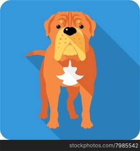 dog French Mastiff icon flat design . Vector serious dog French Mastiff or Dogue de Bordeaux icon flat design