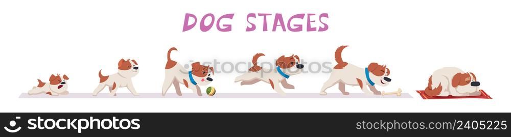 Dog growth. Puppy and old dog domestic funny animals in action poses exact vector illustrations set in cartoon style. Animal dog growth, from puppy to adult pet. Dog growth. Puppy and old dog domestic funny animals in action poses exact vector illustrations set in cartoon style