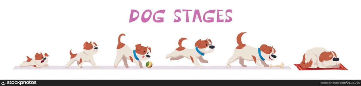 Dog growth. Puppy and old dog domestic funny animals in action poses exact vector illustrations set in cartoon style. Animal dog growth, from puppy to adult pet. Dog growth. Puppy and old dog domestic funny animals in action poses exact vector illustrations set in cartoon style