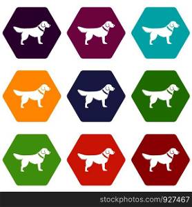 Dog icon set many color hexahedron isolated on white vector illustration. Dog icon set color hexahedron