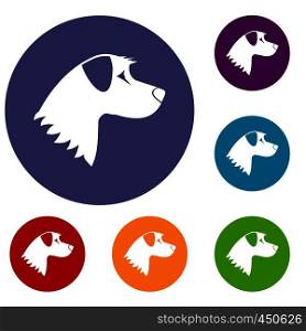 Dog icons set in flat circle reb, blue and green color for web. Dog icons set