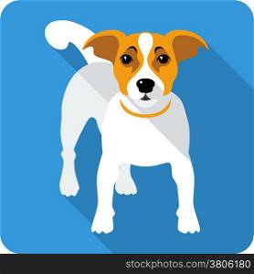 dog Jack Russell Terrier icon flat design
