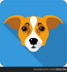 dog Jack Russell Terrier icon flat design