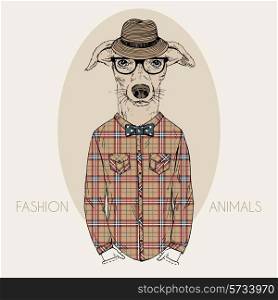 dog male hipster