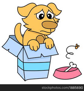 dog pity in a cardboard box and a bone, doodle icon image. cartoon caharacter cute doodle draw