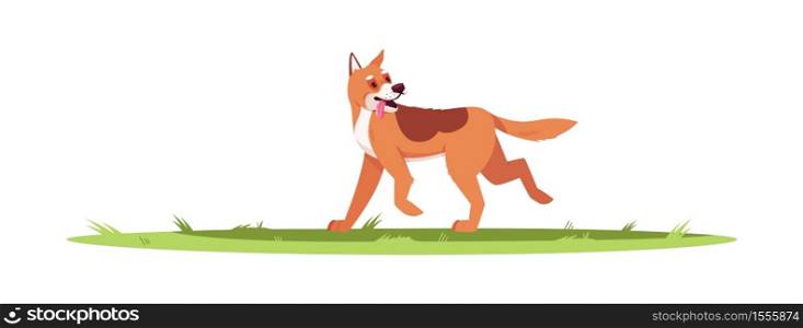 Dog play outside semi flat RGB color vector illustration. Doggy activity in summer countryside. Hound puppy train in village. Shepherd run outdoors isolated cartoon animal on white background. Dog play outside semi flat RGB color vector illustration