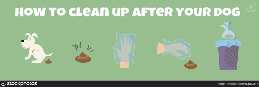 Dog poo clean up steps infographic set. Vector poster about hygiene animal, toilet cleaning information after your dog.