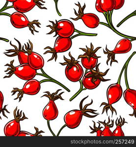 dog rose berries vector pattern on white background. dog rose berries vector pattern